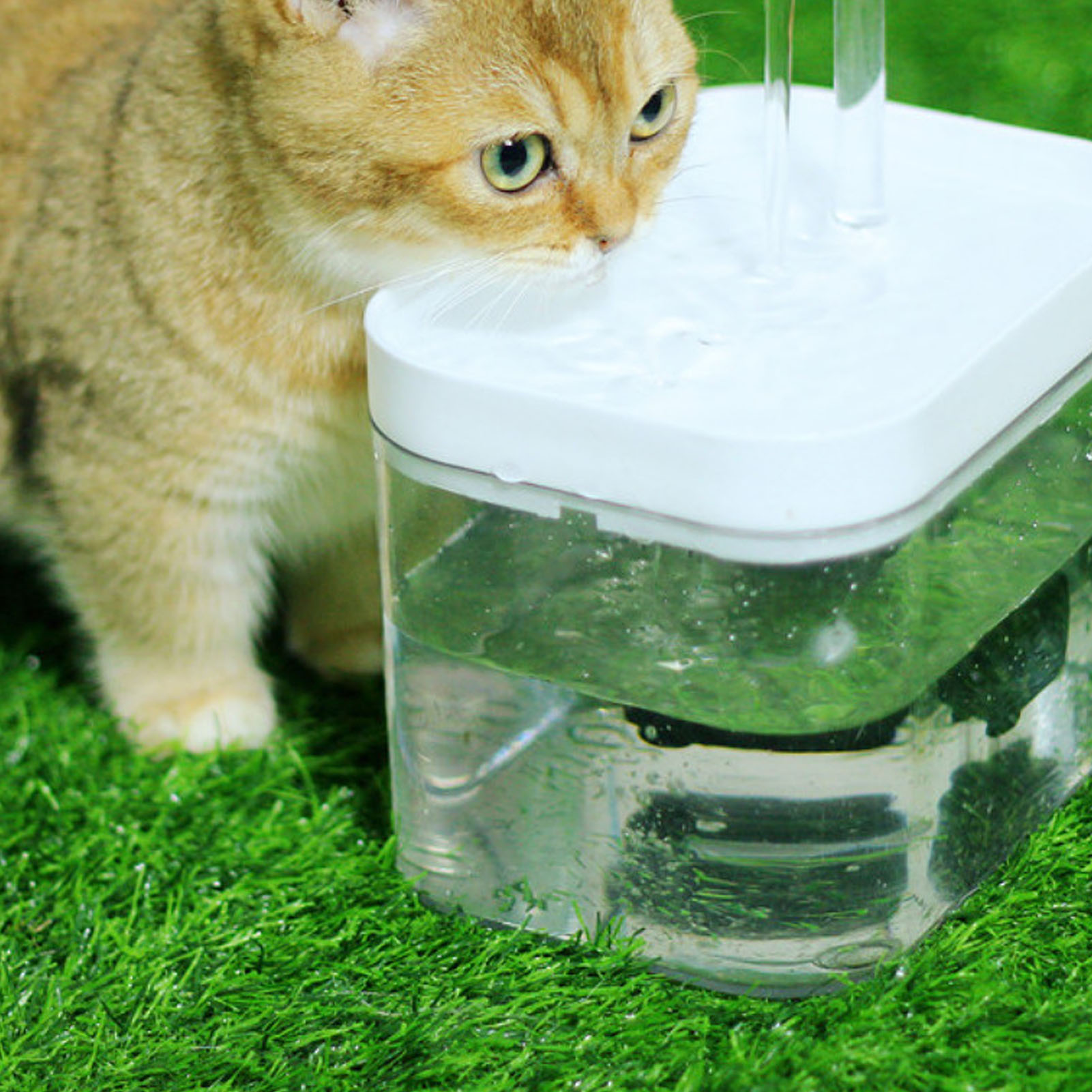 NFTIGB Cat Water Fountain Automatic Quiet USB Powered Transparent Pet Water Dispenser with Elbow Tube 1.5L / 50.72 oz White Lid