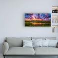 thumbnail image 3 of Trademark Fine Art 'Grand Sunset in the Tetons' Canvas Art by Darren White Photography, 3 of 3