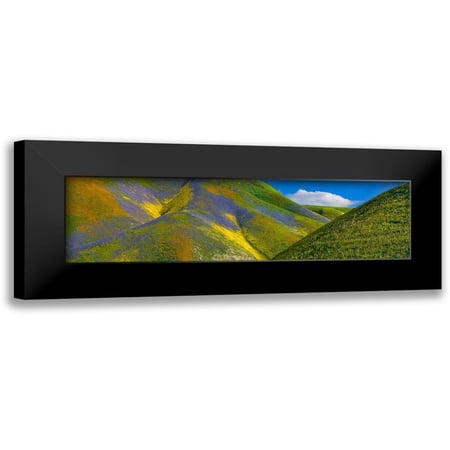 Fitzharris, Tim 14x7 Black Modern Framed Museum Art Print Titled - Spring Bloom on Temblor Range