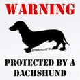 thumbnail image 2 of CafePress - Protected By A Dachshund Body Suit - Baby Light Bodysuit, Size Newborn - 24 Months, 2 of 4