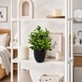 thumbnail image 4 of Set of 4 Artificial Potted Plants | Plastic Green Foliage | Indoor & Outdoor Décor | Realistic Small Fake Plants for Home and Office Decoration, 4 of 6