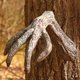 thumbnail image 3 of Resina creativa árbol caras decoración al aire libre caprichoso pata árbol Hugger estatuas corteza fantasma, 3 of 5