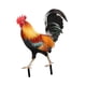 thumbnail image 2 of Estatua de gallo para jardín, estaca decorativa de pollo, letrero realista para jardín 212x167x01cm, 2 of 9