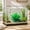 Green#156, variant on Aquarium Coral Decoration for Fish Tank – Realistic Artificial Coral Reef Ornament with Weighted Base – Aquarium-Safe Plastic Decor for Freshwater and Saltwater Aquascaping