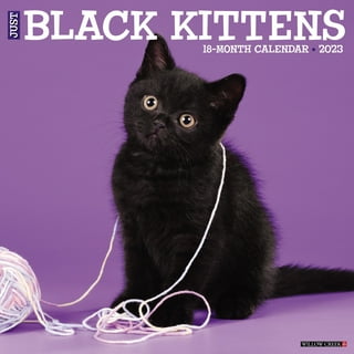 Cat Wall Calendars in Wall Calendars - Walmart.com