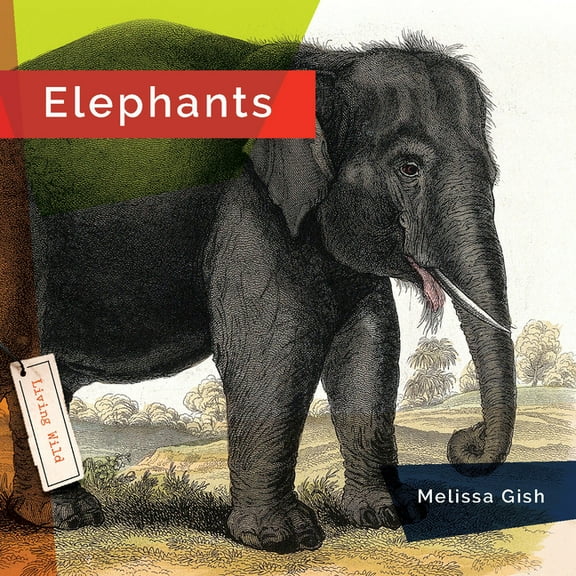 Elephants, (Paperback)