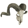 thumbnail image 4 of Design Toscano Corsican Ram Skull and Horns Wall Trophy, 4 of 7