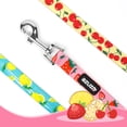 thumbnail image 3 of azuza 3 Pack Fruit Pattern Design Nylon Dog Leashes Strong & Durable Basic Leash 4/5/6 FT, 3 of 7