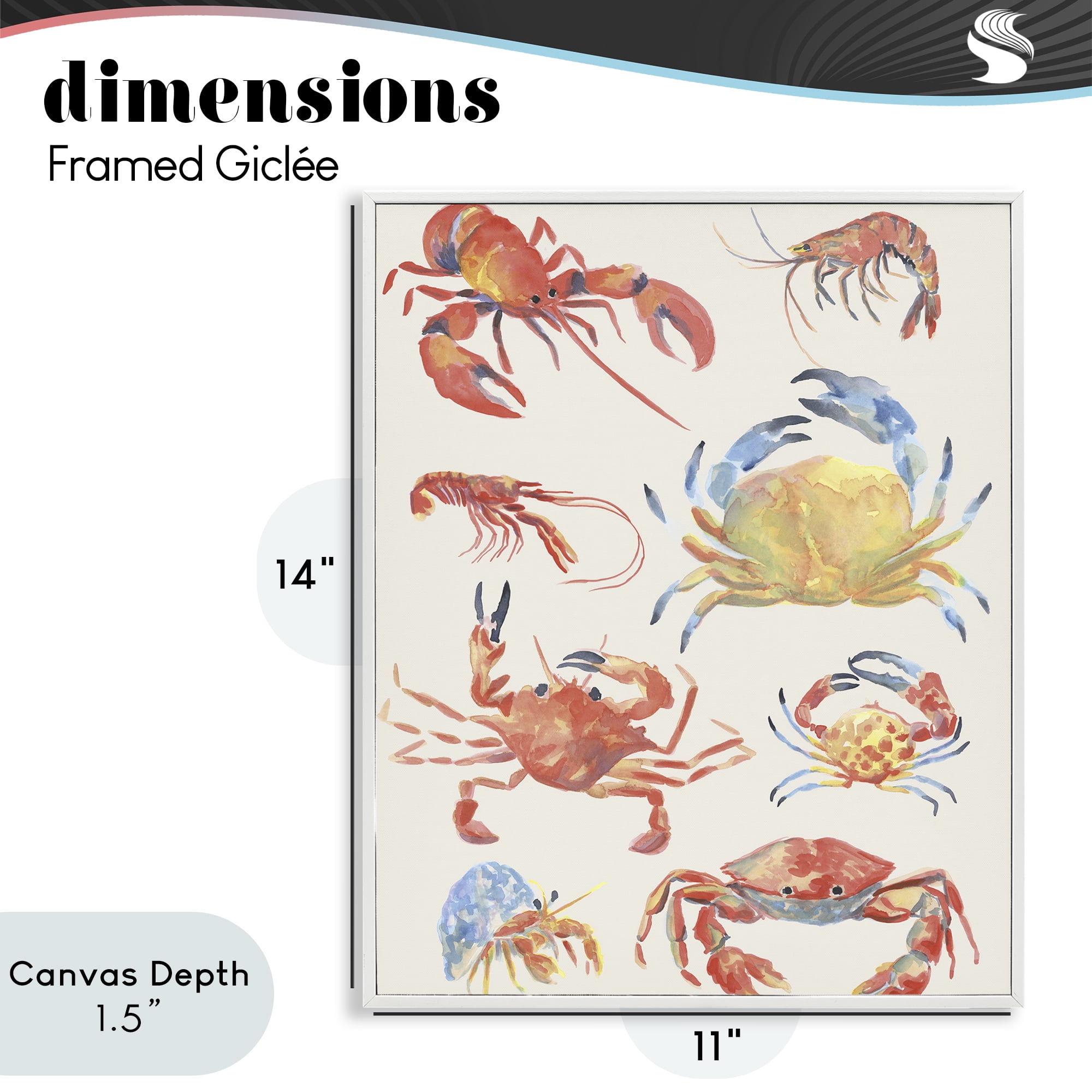 Stupell Industries Crab & Crustacean Collection White Framed Giclee Art, design by June Erica Vess