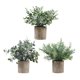 thumbnail image 3 of Plantas artificiales en maceta Strade Fareast Limited 3 piezas, 3 of 5