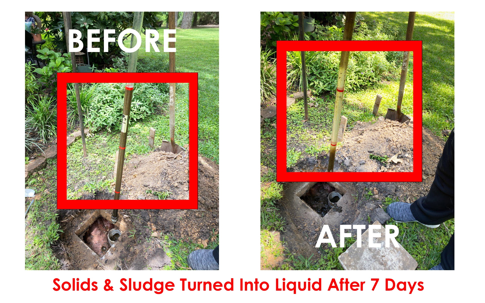 Dr. Pooper's Drain Field Cleaner Tablets -- Total Septic System Cleaner & Odor Eliminator, Accelerator by Dr. Pooper®️