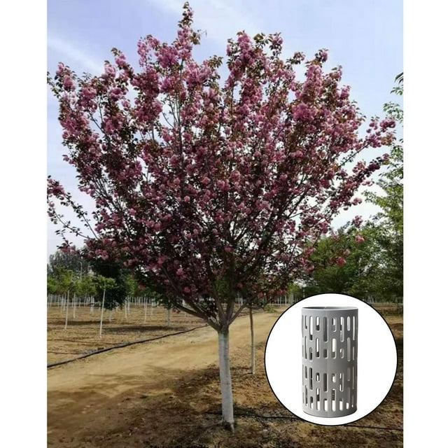 Protectores de plástico para troncos de árboles Protectores de árboles Valla de protección para árboles Evitan daños causados por podadoras, podadoras PC 1