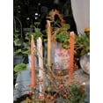 thumbnail image 2 of Taper Candles 10'' Colored Candle Sticks Set of 4 | Orange Citrus Scented, Natural Soy Wax | Home Decor Kitchen Decor Wedding Decorations (Orange Shades), 2 of 4