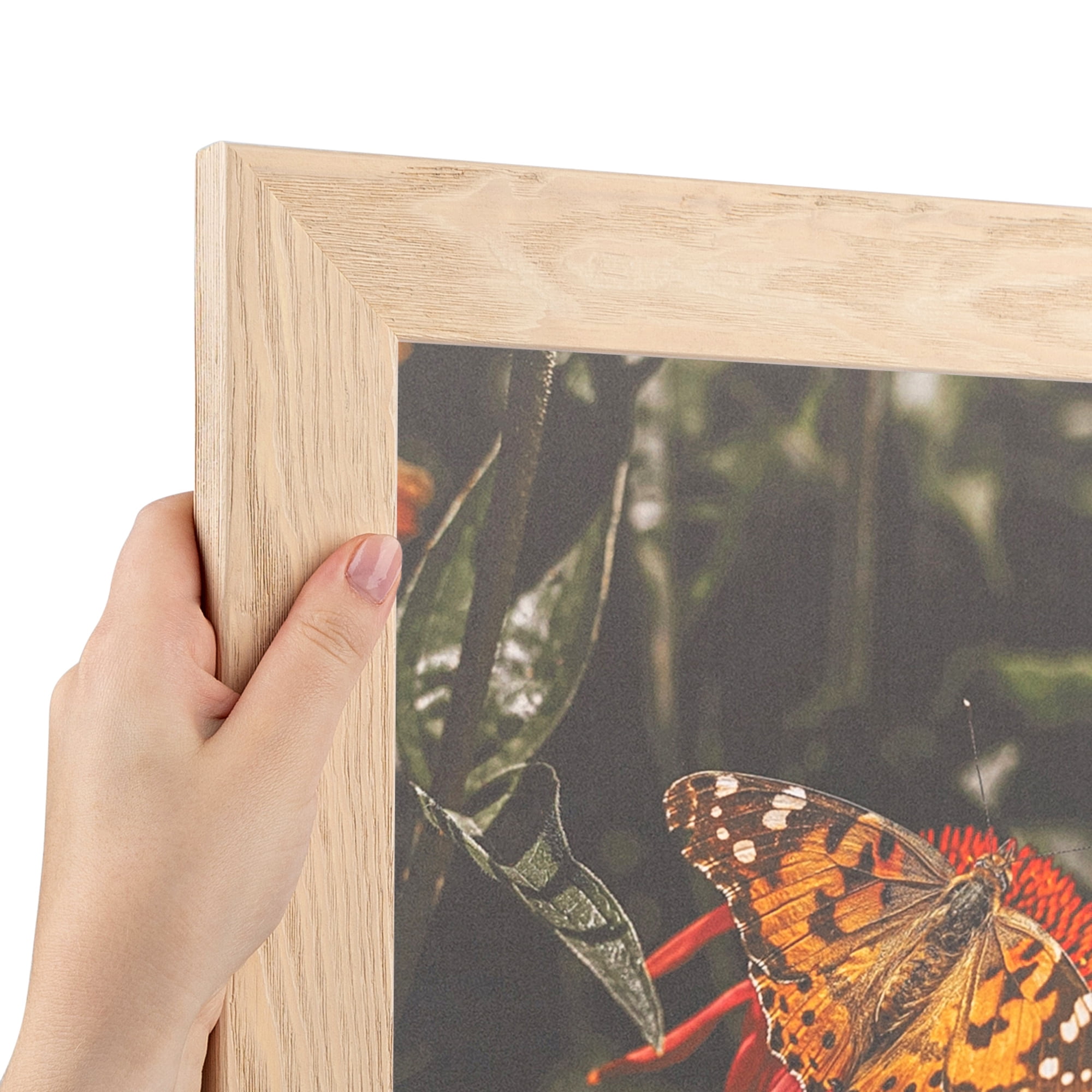 ArtToFrames 18" x 24" Clear Stain Picture Frame, 18x24 inch White Wood Poster Frame (WOM-4290), 5 Pack