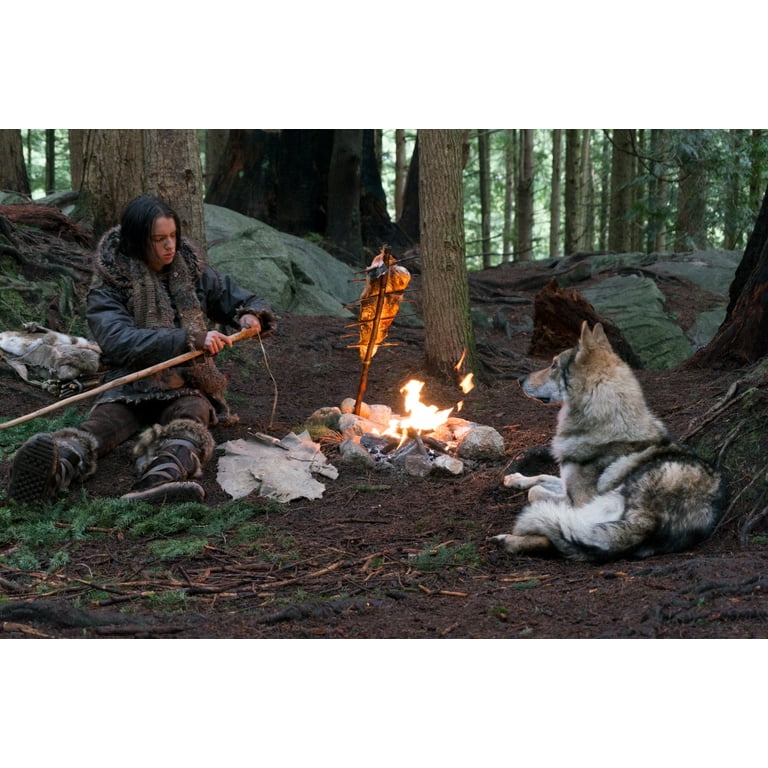 Alpha A Dog s Way Home Hachi A Dog s Tale 3 Movie Collection DVD