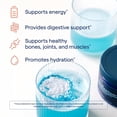 thumbnail image 4 of Mineral en polvo, oligoelementos ConcentRace Blue Raspberry 60s, 4 of 9