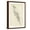 Brown Frame, variant on Art.com Feather Sketch III Art Print by Ethan Harper, 12" x 18"