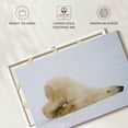 thumbnail image 6 of Elephant Stock Lazy Polar Bear Wall Art - Horizontal Canvas Wall Art - Living Room Wall Decor - Animal Canvas - White And Beige Decor - 36" x 24", 6 of 8