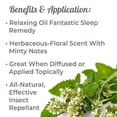 thumbnail image 5 of Plant Therapy Catnip Essential Oil 100% Pure, Undiluted, Natural Aromatherapy, Natural Aromatherapy 10 mL (1/3 oz), 5 of 5