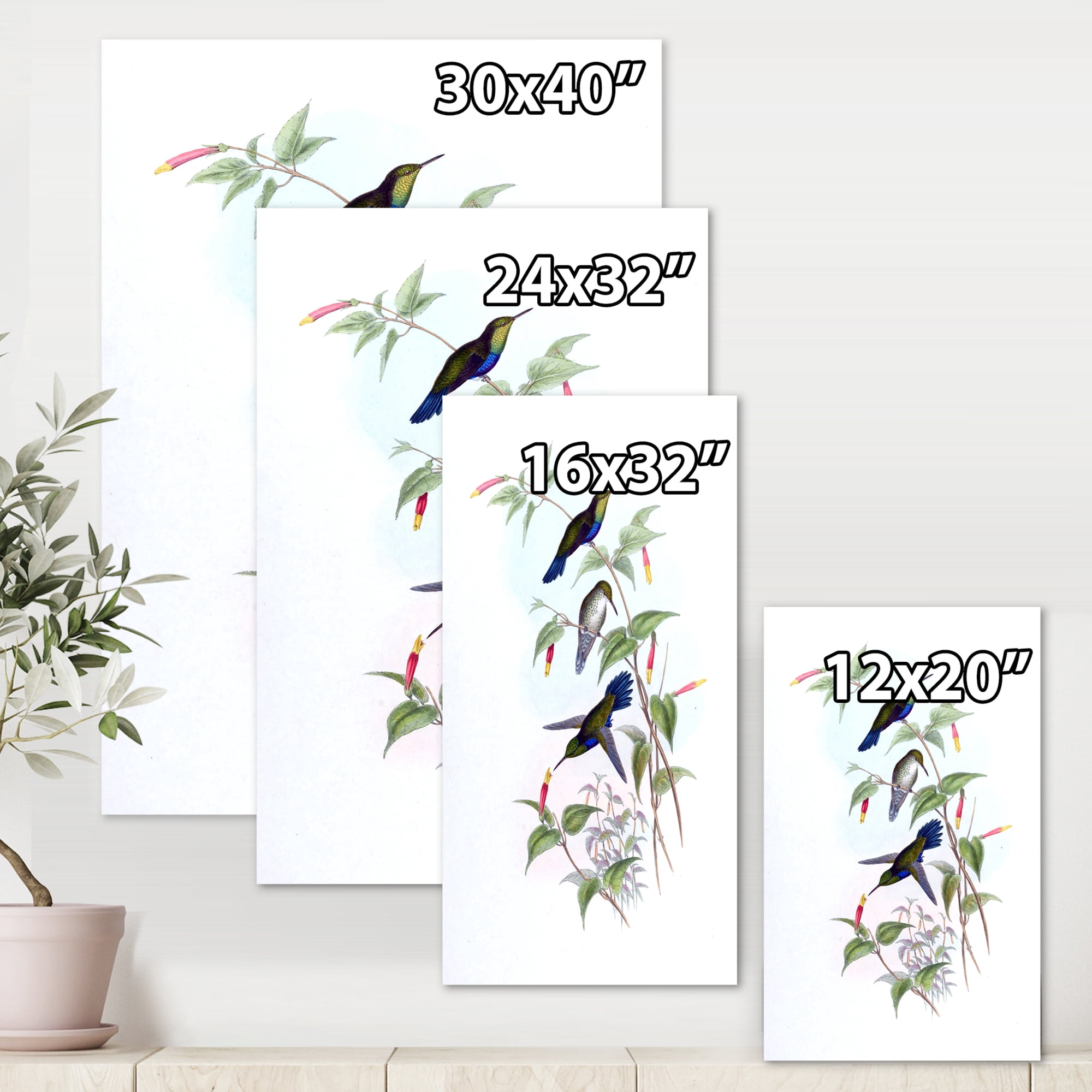 Designart ' Ancient Hummingbird I ' Traditional Canvas Wall Art Print