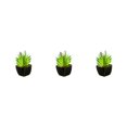thumbnail image 2 of Kearding plantas en macetas de cerámica negra suculentas verdes artificiales decoración para el hogar falsa tipo 1 NO1, 2 of 6