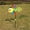 Pink, variant on Outdoor Three Cartoon Pattern Optional Windmill Children Toy Garden Decoration Whirligig Pink 21.25 in
