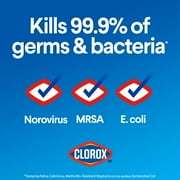 Clorox Disinfecting Bleach, Regular, 2 Pack - 121 Ounce Bottles