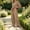 Brown, variant on Women 2‑Piece Matching Sweat Outfit, Crew Neck Long‑Sleeve Oversized Sweatshirt & Drawstring Wide‑Leg Sweatpants, Casual Loose‑Fit Fall Loungewear Tracksuit Set