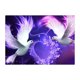 thumbnail image 1 of Cuadros Decorativos 5D diamante pintura taladro completo DIY pájaro volador bordado punto de cruz Kits DQrwqpou Nuevos Originales, 1 of 8