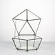 thumbnail image 4 of NCYP Pequeño Terrario Geométrico De Vidrio Cerrado En Caja De Joyas Contenedor Planta Macetero Suculento Maceta Interior Exterior (Sin Plantas), 4 of 6