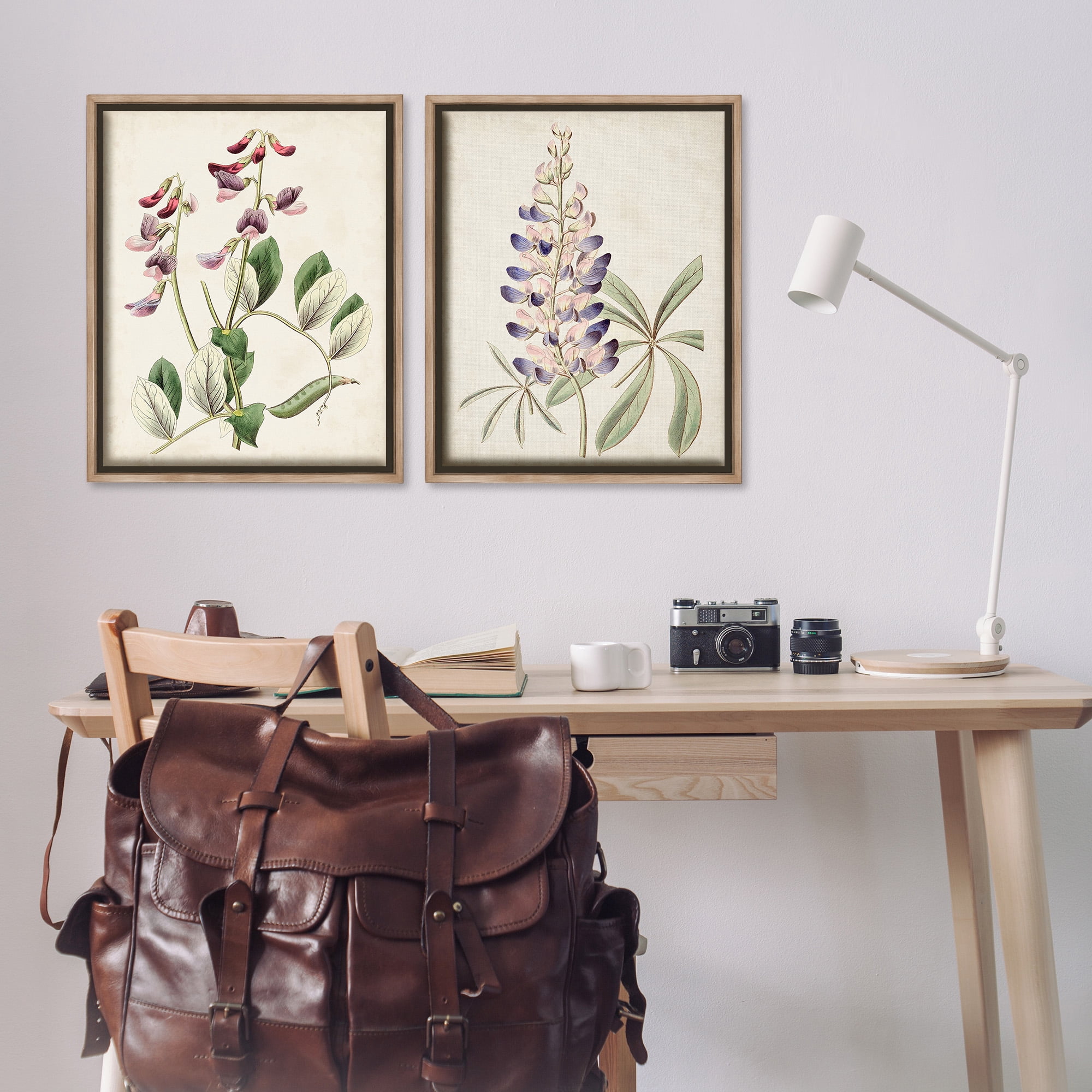 Stupell Industries Foxglove Latin Studies Botanical & Floral Painting Brown Floater Framed Canvas Art Print Wall Art, 25 x 31, Set of 2