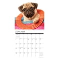 thumbnail image 2 of Just Pug Puppies 2024 12 X 12 Wall Calendar (Calendar), 2 of 3