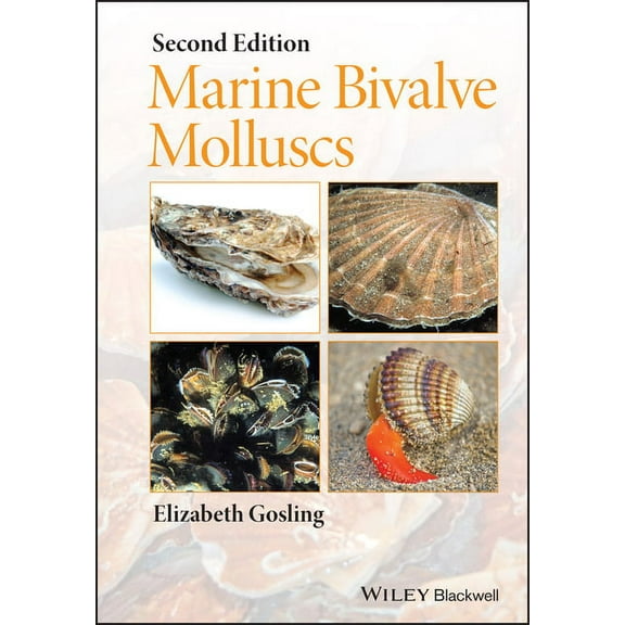 Marine Bivalve Molluscs, (Hardcover)