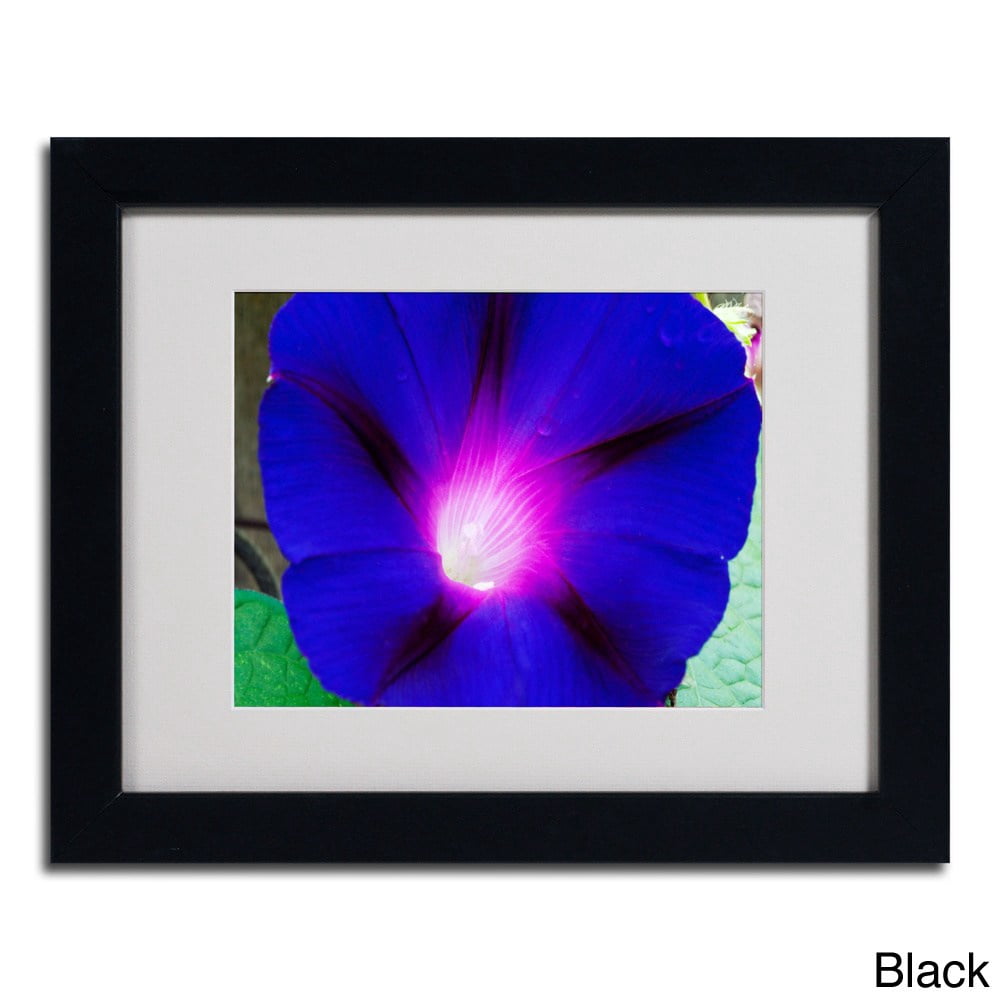 Trademark Fine Art "Deep Blue Morning Glory" Canvas Art by Kurt Shaffer, Wood Frame
