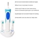 thumbnail image 4 of Se pueden aplicar dos soportes de base para cepillos de dientes eléctricos a la base del estante de almacenamiento de soportes para cepillos de dientes eléctricos como Oral-B Braun., 4 of 5