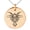 Rose, variant on Stainless Steel Oriental Dark Dragon Engraved Small Medallion Circle Charm Pendant Necklace