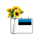 thumbnail image 1 of Estonia national flag Europa país Tarjeta de bendición de jarrón de girasol artificial, 1 of 3