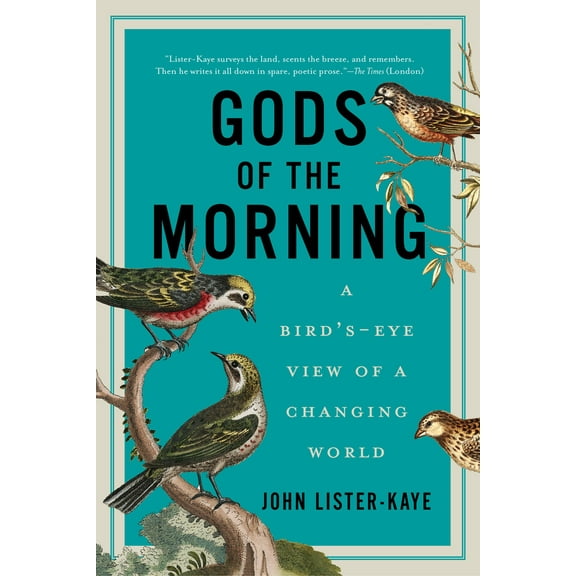 Gods of the Morning (Paperback)