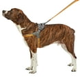 thumbnail image 3 of Best Friends Dog Harness-Neoprene Comfort Liner-Orange and Gray, Large, 3 of 7