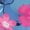 Blue Pink - Lilo and Stitch, variant on Lilo & Stitch Zip Up Hoodie (Girls), Sizes 6-12