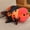 D, variant on Realistic Goldfish Plush Pillow 20", Oranda Lionhead Goldfish Stuffed Animal Toy, Soft Koi Fish Throw Pillow Cushion Home Decor Gift