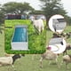 thumbnail image 1 of Bebedero automático para , bebedero para exteriores, para terneros, cabras y caballos, dispensador de agua para mascotas de gran capacidad., 1 of 8