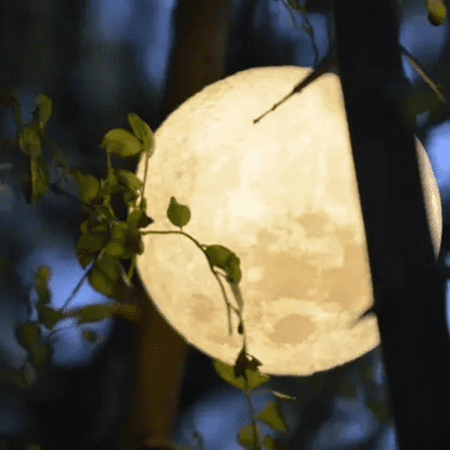 

Home Decor Gifts 3D Usb Led Magical Moon Night Light Moonlight Table Desk Moon Lamp Gift C White