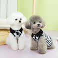 thumbnail image 3 of Adorable Pet Clothes for Cats & Small Dogs - Charming Spring & Autumn Wear, 3 of 4