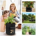 thumbnail image 5 of 3 bolsas para cultivo de patatas, bolsa para plantar en jardín, tela no tejida con asas, bolsa para plantas con ventana para patatas, fresas, tomates, flores, 5 of 5