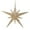 Gold, variant on BNNG Bethlehem Star Ornament for Christmas Tree 4.7 inch Plastic Star of Bethleham Ornament Hanging Gift Decor for Xmas Tree Home Wedding Party Decoration Supplies Gifts