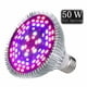 thumbnail image 1 of Luz LED de espectro completo para el crecimiento de plantas en invernaderos, 50 W, 1 of 5