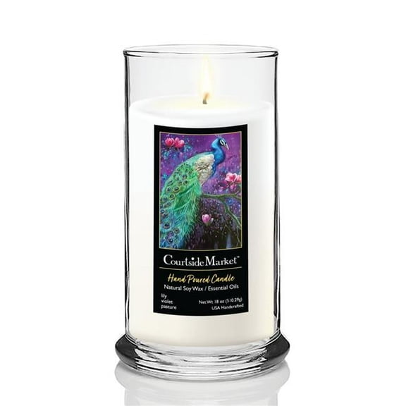 Courtside Market CAN-SC381-18S 18 oz Regal Status Candle Glass, Clear