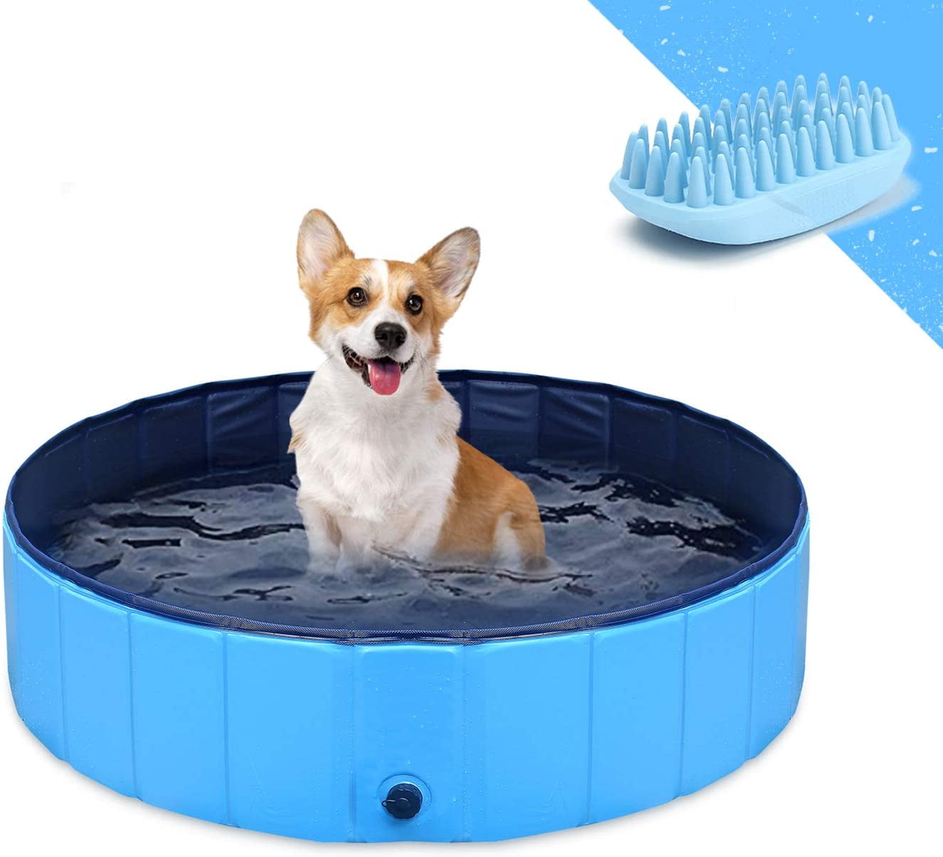 kiddie pool for puppies