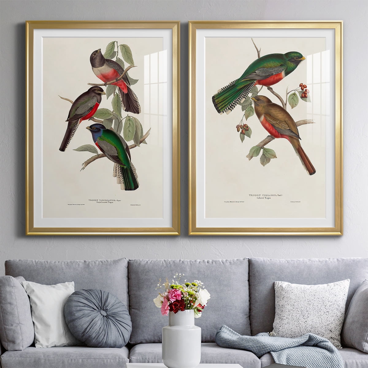 Wexford Home Elegant Trogons V Premium Framed Print, 18.5" x 24.5" - Ready to Hang, Gold (Set of 2)